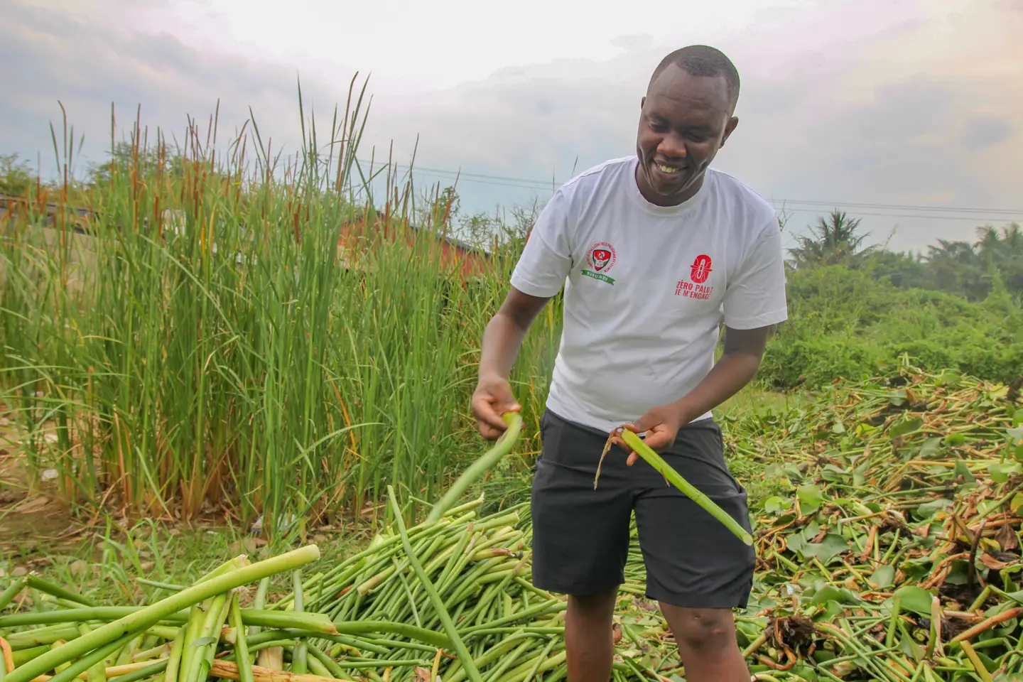 Un jeune volontaire du CJLP-Burundi retire de la végétation aquatique au bord du lac Tanganyika